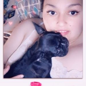 Meet your Posher, Dora